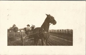 RPPC Women Beautiful Horse and Carriage Real Photo Postcard V12