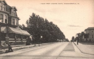 Vintage Postcard 1930's Main St. Looking South Shoemakersville Pennsylvania PA