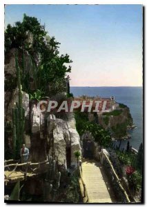 Postcard Old Garden of Monaco Exotic Garden a picturesque corner in the dista...