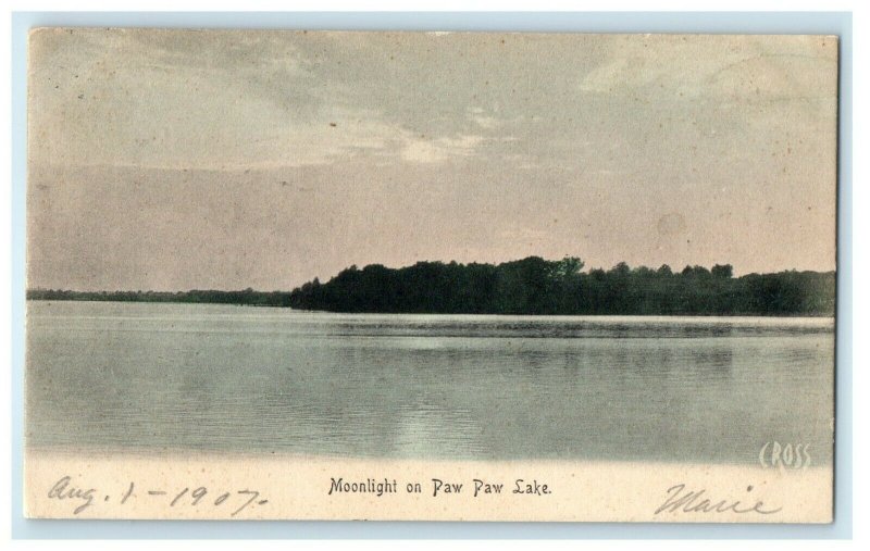 1907 View Of Moonlight On Paw Paw Lake Michigan MI Antique Postcard 