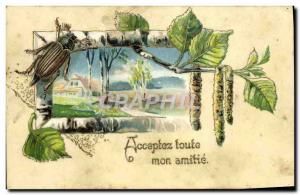 Old Postcard Accept all my friendship Flower Insect