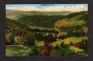 NY Aerial View ROSCOE NEW YORK Postcard PC Linen