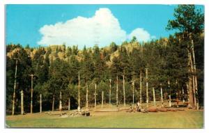 1968 Philmont Scout Ranch Totem Poles, Boy Scouts Camp, Cimarron, NM Postcard