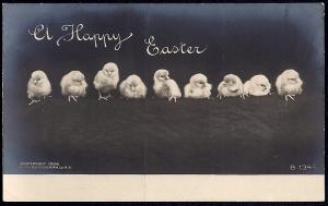Happy Easter chicks in a row RPPC unused c1906