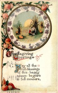 Thanksgiving, Greetings, Mro. Anne, Shenden, Cambridge, n.y. Postcard