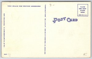 Cape Cod Massachusetts~Black Fish Driven Ashore On Beach~Vintage Linen Postcard