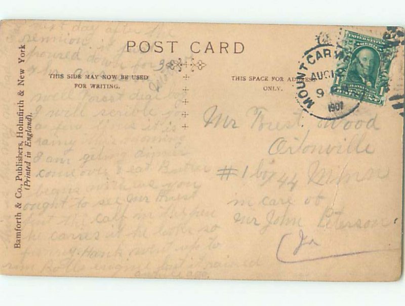 rppc 1907 MAN WANTS GIRLFRIENDS TO DO HIS LAUNDRY AC8178