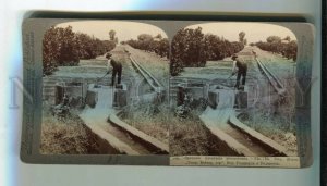 3116153 USA RIVERSIDE Irrigating Orange Grove CA STEREO PHOTO