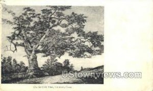 Charter Oak Tree - Hartford, Connecticut CT