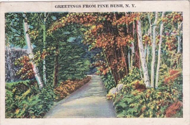 New York Greetings From Pine Bush 1938