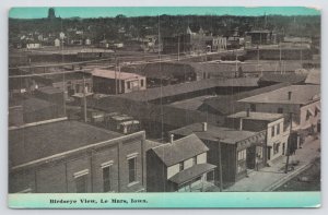 Birds Eye View Of Le Mars Iowa~Busy Downtown Bldgs & Canons~B&W~PM 1910 PC