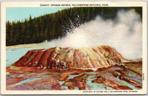 Sponge Geyser Yellowstone National Park Geyserite Mound Huge Sponge Postcard