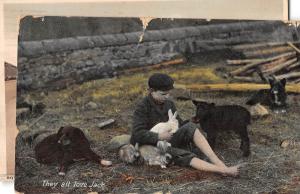 uk2323 they all love jack rabbit dog sevenoaks  real photo  uk