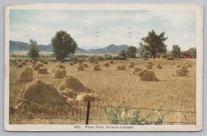 Colorado~Wheat Field In Northern CO~Sheaves Stacks~Barbed Wire Fence~Cactus~1911