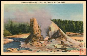 Giant Geyser Cone, Yellowstone Naional Park