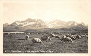 H28/ Sawthooth Valley Idaho RPPC Postcard 1949 Sheep Grazing Farming