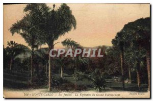 Old Postcard Monte Carlo gardens of the large undulating Vegetation