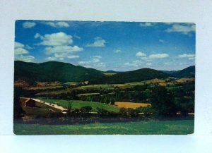 Pownal Vermont Valley Weeping Rock & Green Mountains Postcard 