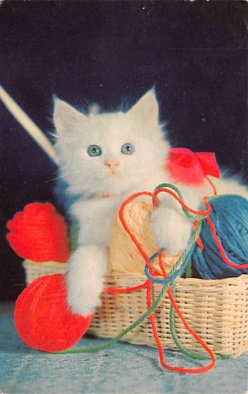 Kitten with Yarn Cat Unused 