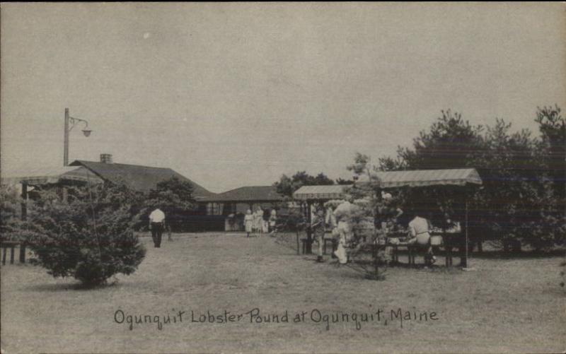 Ogunquit ME Lobster Pound Postcard