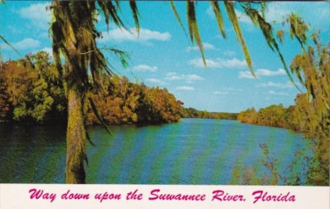 Alabama River Scene On Suwannee River