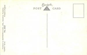 D62/ Nude Comic Bamforth Risque Postcard c1940s Boobs Woman Nudest Club Goose 1