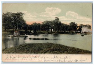 1906 Pond In Deering Oaks Trees Scene Portland Maine ME Posted Vintage Postcard