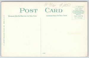 Madison Wisconsin~Angleworm Station Landing~Excursion Boat Departs~Dock~c1910 