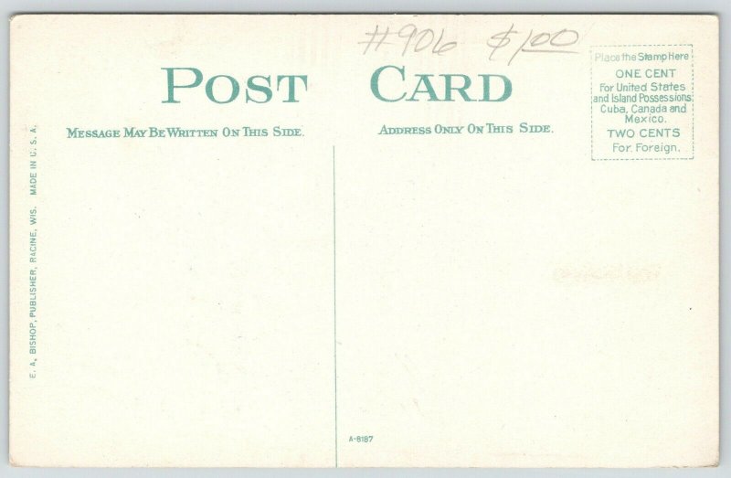 Madison Wisconsin~Angleworm Station Landing~Excursion Boat Departs~Dock~c1910 