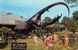 Postcard Hercules And The Mermaids May Museum Of The Tropics Weeki Wachee Spring