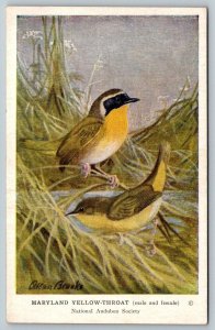 Audubon Society   Maryland  Yellow Throat   Postcard