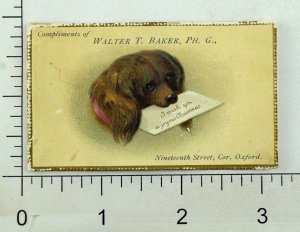 1880's-90's Embossed Christmas Card Walter T. Baker Adorable Dog & Letter P98