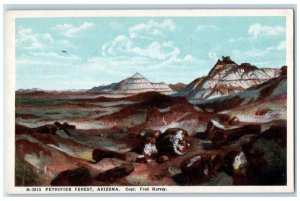 1910 Petrified Forest Grand Canyon Arizona Fred Harvey Vintage Antique  Postcard 