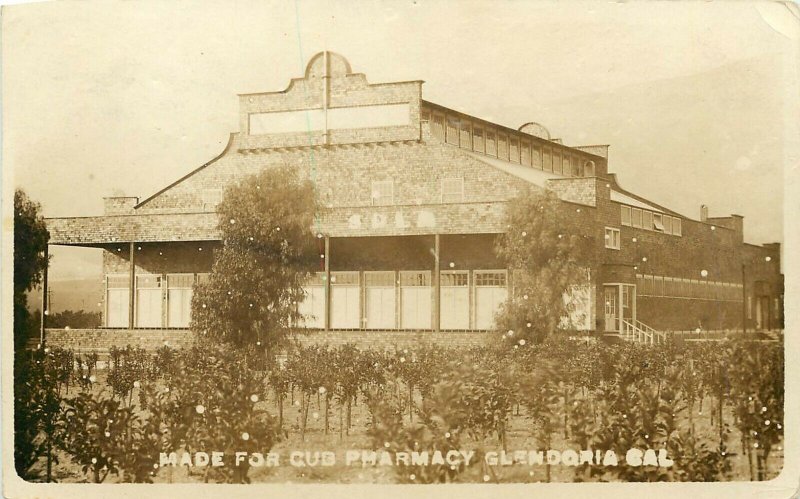 RPPC Postcard Orange Packing House Glendora CA Citrus Fruit Packing Cub Pharmacy