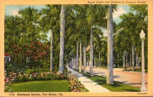 Florida Fort Myers Residence Section With Royal Palms and Flowers 1947 Curteich