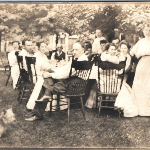 c1910s Vicksburg MI Outdoor Picnic RPPC Yorkshire Terrier Dog Real Photo PC A185