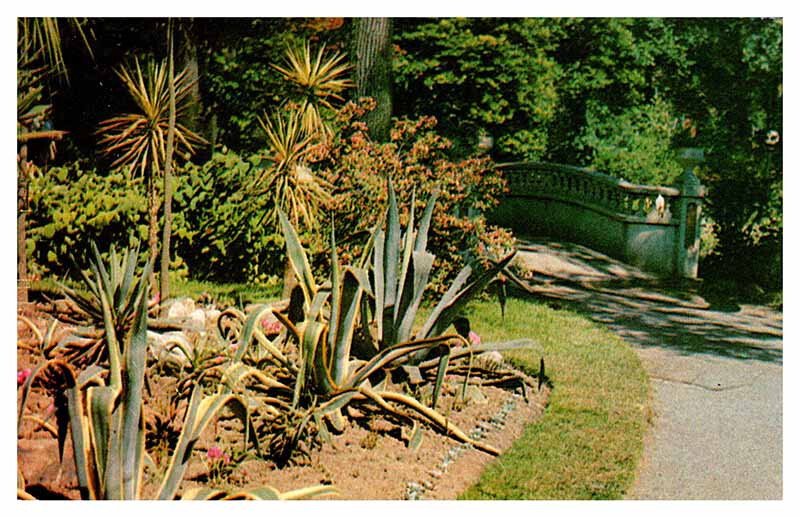 Postcard GARDEN SCENE Halifax Nova Scotia NS AQ0915