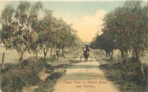 Postcard Arizona Phoenix Pepper Drive ranch hand colored C1910 Berryhill 23-2336