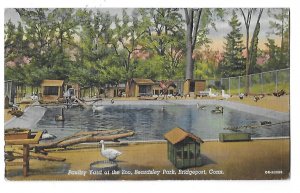 Poultry Yard at Zoo Beardsley Park Bridgeport Connecticut