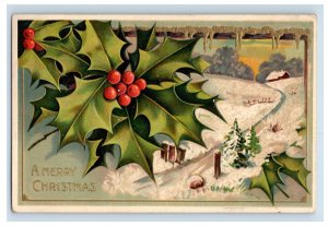 C. 1910 Snowy Scene Holly Berries Christmas Postcard F108E