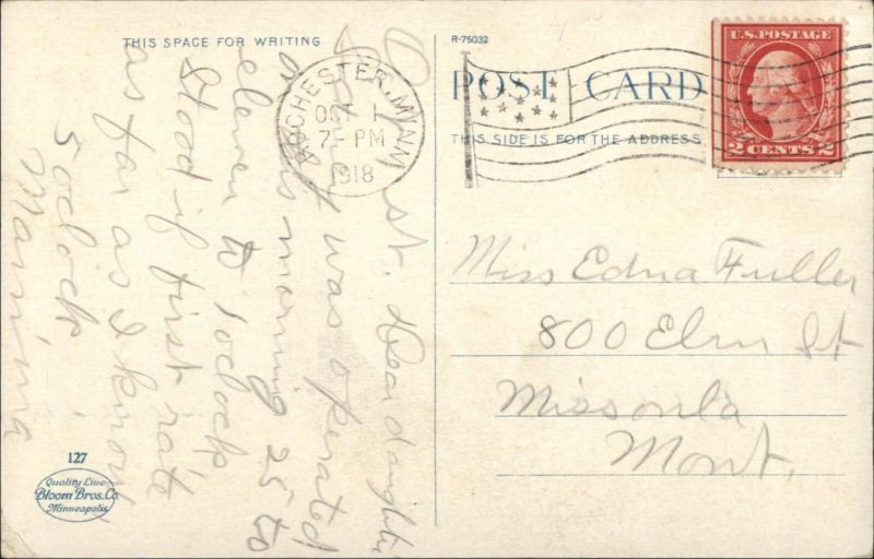Rochester MN EL Lyman Co Big Stire Multi View c1920 Postcard #2