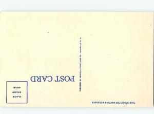 Linen BRIDGE SCENE Bat Cave - Near Chimney Rock & Lake Lure & Asheville NC H8009