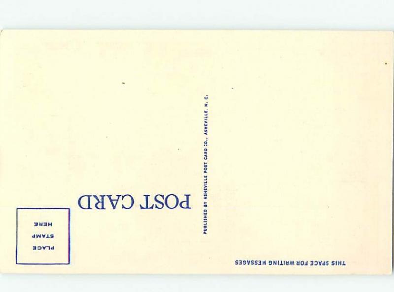 Linen BRIDGE SCENE Bat Cave - Near Chimney Rock & Lake Lure & Asheville NC H8009