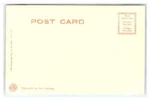 The Capitol Washington D. C. Postcard