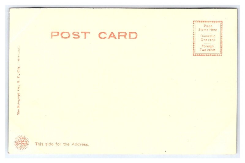 The Capitol Washington D. C. Postcard