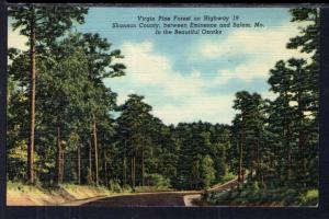 Virgin Pine Forest,Shannon County,Ozarks,MO BIN