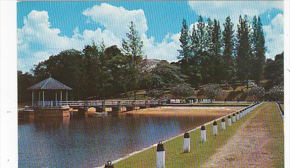 Singapore Pierce Reservoir