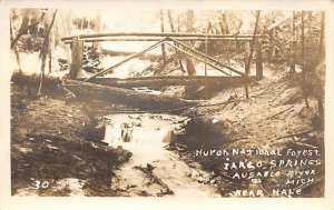 Huron National Forest Ausable River, Real Photo Hale MI 