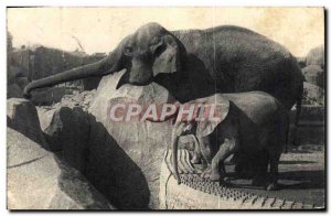 Old Postcard Paris Du Bois De Vincennes An elephant d & # 39Asie female and M...