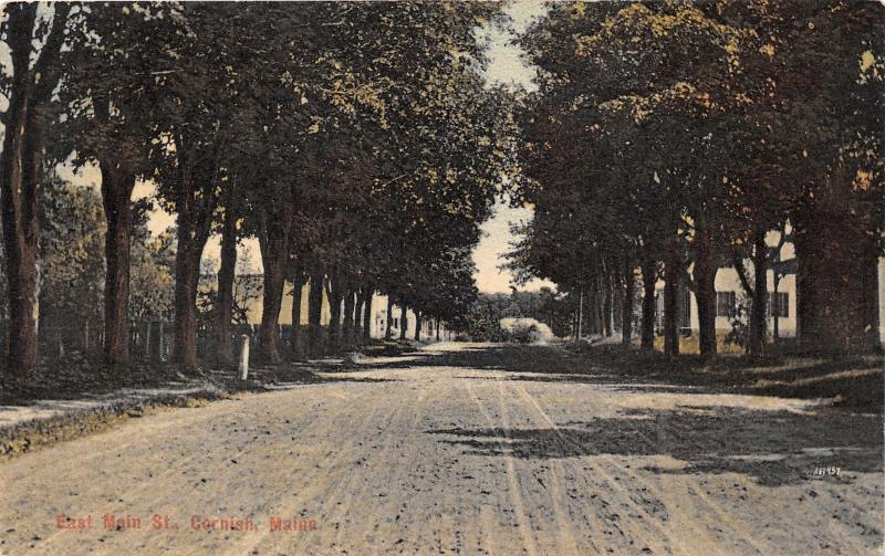 Cornish Maine~East Main Street~Houses behind Trees~York County~c1910 Postcard